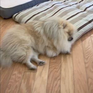 Meet your Posher, Doris